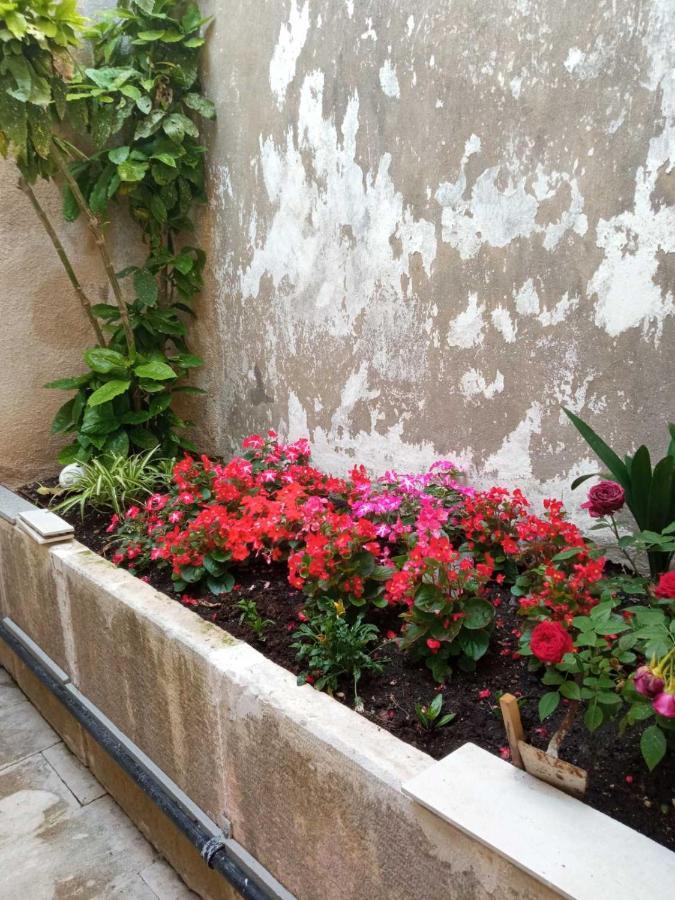 Rooms Zela 1 Korcula Town Luaran gambar